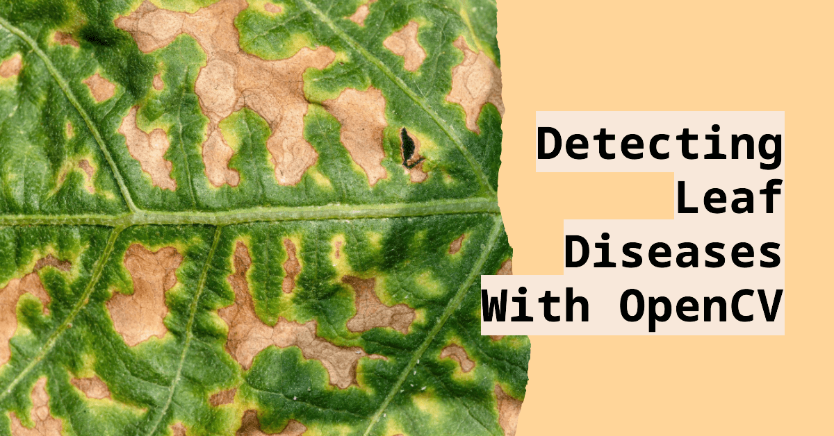 Detecting leaf disease with opencv